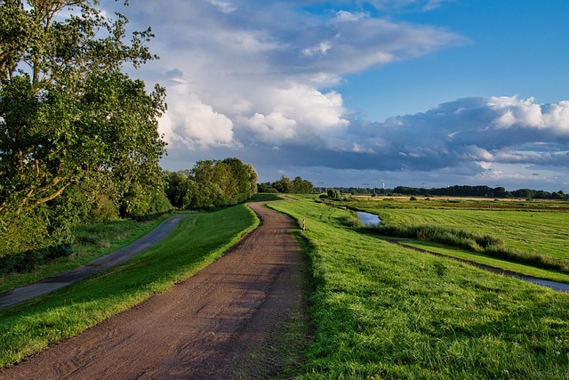 nature