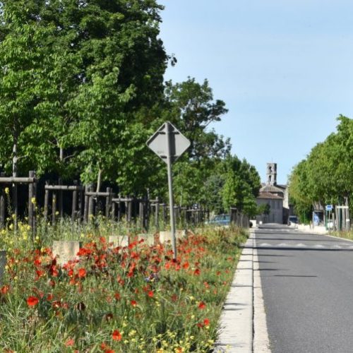 Route de Cabannes à Verquières